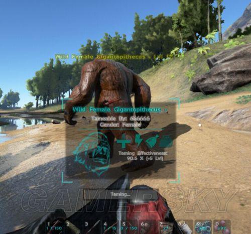 �����ۣ�������������ѱ������