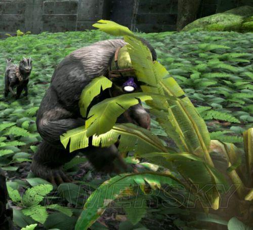 �����ۣ��������������ѱ����ʹ�÷���