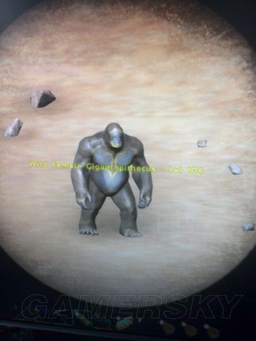 �����ǿ�