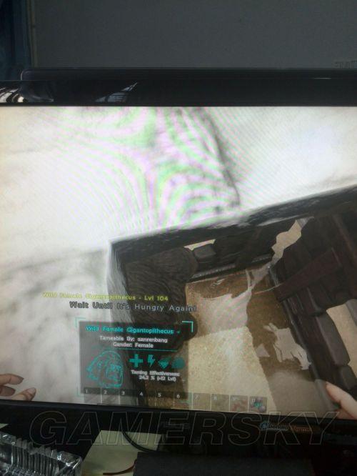 �����ۣ�������������ѱ������