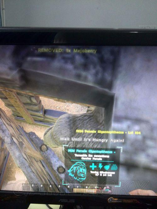 �����ǿ�