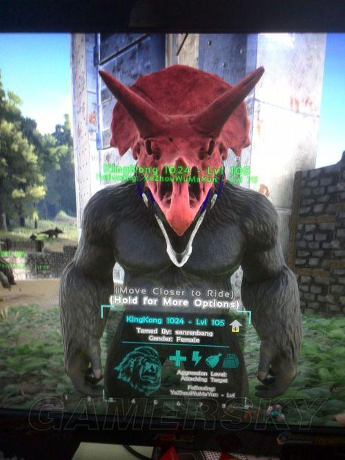 �����ǿ�