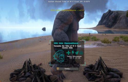 �����ۣ����������ѱ��շ�����ѧ