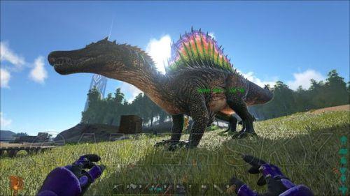 �����ǿ�