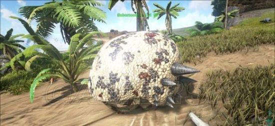 �����ۣ������������β��ѱ���ص㷽������