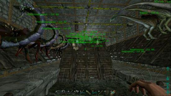 �����ǿ�