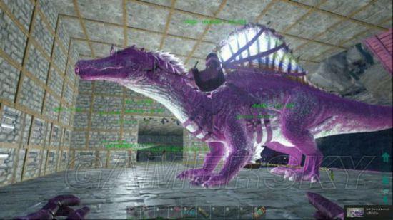 �����ۣ�����������ɶ��񡢰�������С����