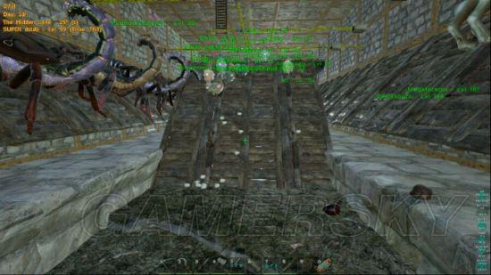 �����ǿ�