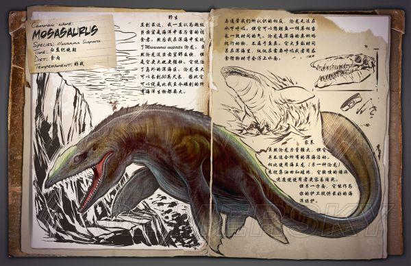 �����ۣ������������������ͼ����ȫ