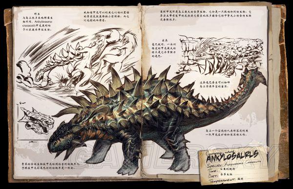 �����ǿ�