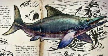 �����ۣ��������������ѱ������