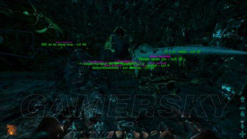 �����ǿ�