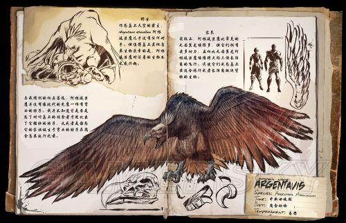 �����ǿ�