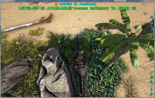 ���ۣ��������-������������ϸ˵��