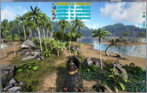 �����ǿ�