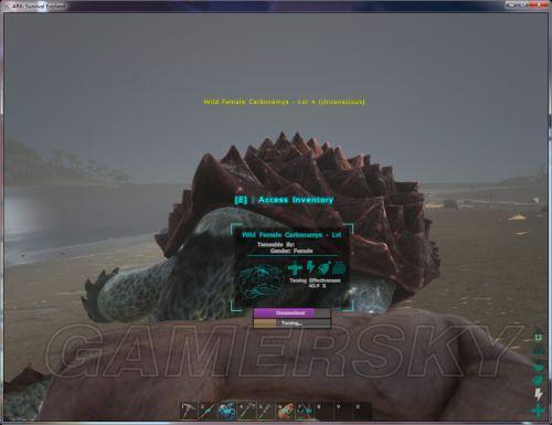 �����ǿ�