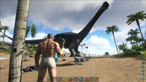 ���ۣ��������-����ѱ���������ô�