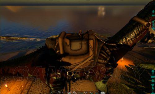 �����ǿ�