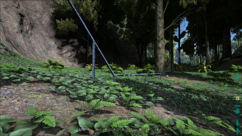 �����ǿ�