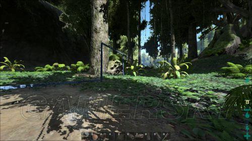 �����ǿ�