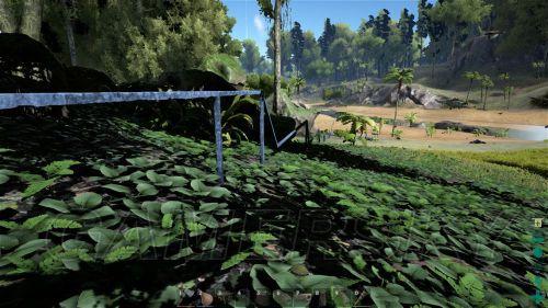 �����ǿ�