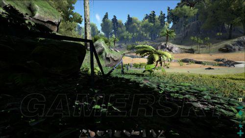 �����ǿ�