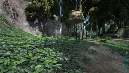 �����ǿ�