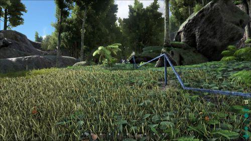 �����ǿ�