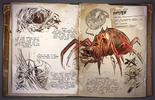 ���ۣ��������-֩��BOSS��ͼ��˵���̳�