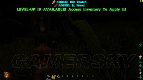 �����ǿ�