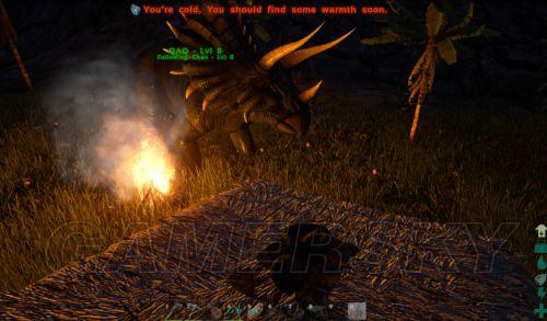 �����ǿ�