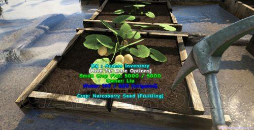 ���ۣ��������-��ֲ��ֲ�ĵ�