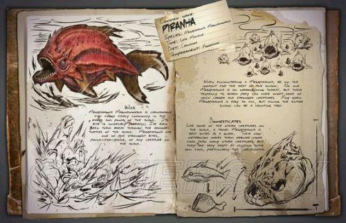 �����ǿ�