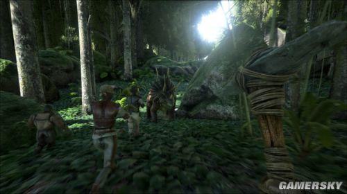 ���ۣ��������-ǰ��Ѹ����������