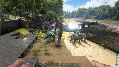 �����ǿ�