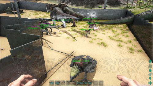 �����ǿ�