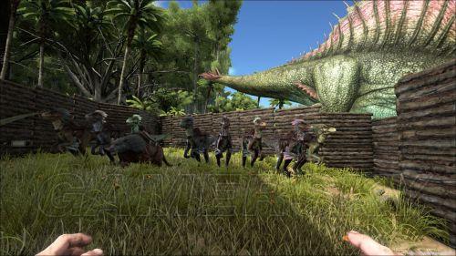 �����ǿ�