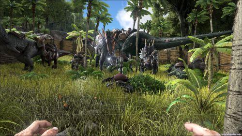 �����ǿ�