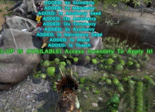 �����ǿ�