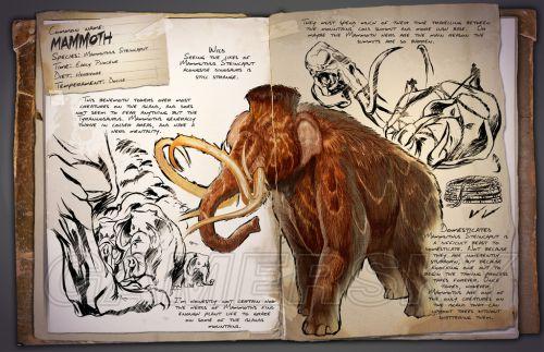 �����ǿ�