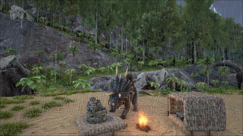 �����ǿ�