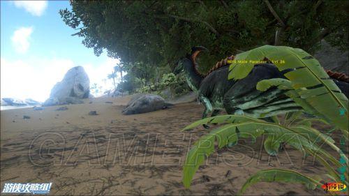 �����ǿ�