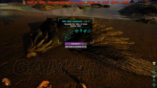 ���ۣ��������-ѱ���������� �������ѱ��