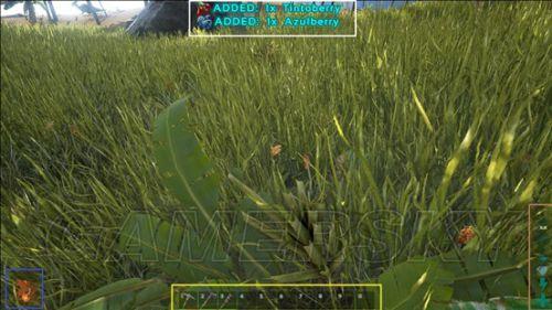 �����ǿ�