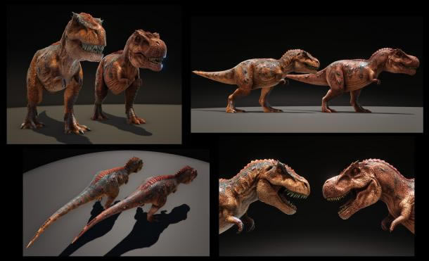 �����ǿ�