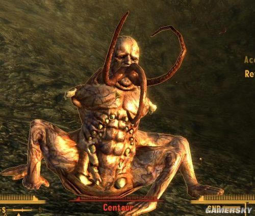 �����ǿ�