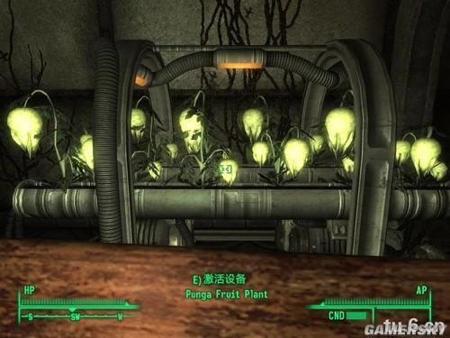 �����ǿ�_