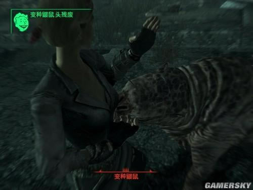 �����ǿ�_