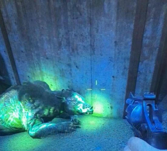 ������4��������������ˢ�ַ���