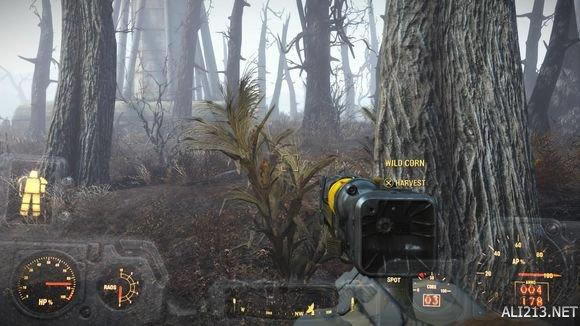 ������4��Ұ��ҩ��ȡ��λ��ͼ��˵���̳�